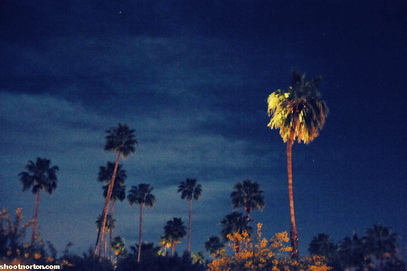 Scion Coachella Party @ The Ace Hotel - Palm Springs, photograph 155