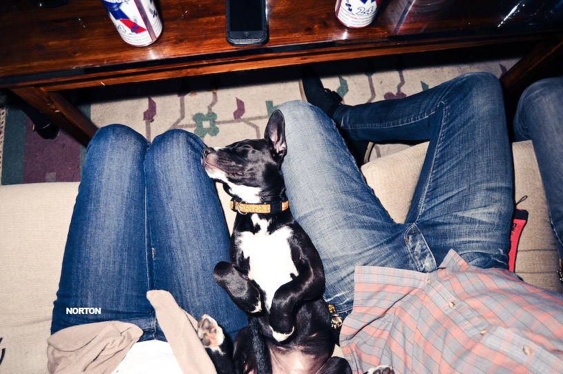Golden Hill - El Dorado Afterparty, photograph 6