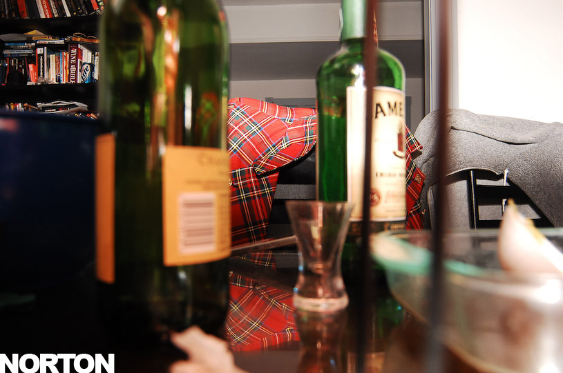 St. Patrick's Day Party, photograph 14
