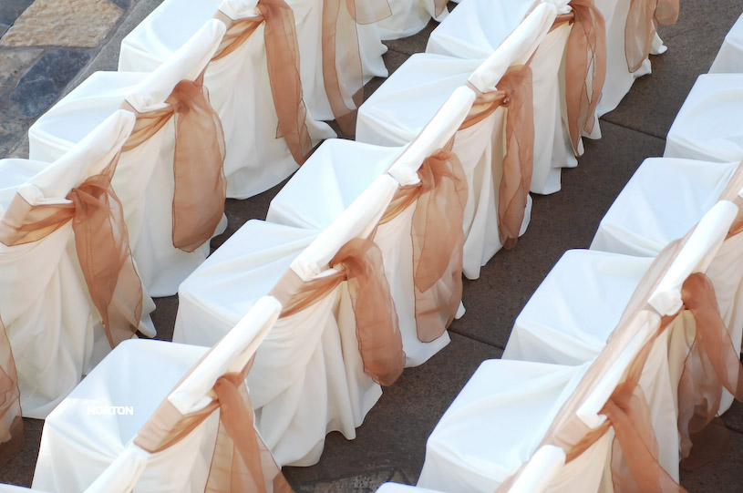 Pat an Dayna's Wedding, photograph 3