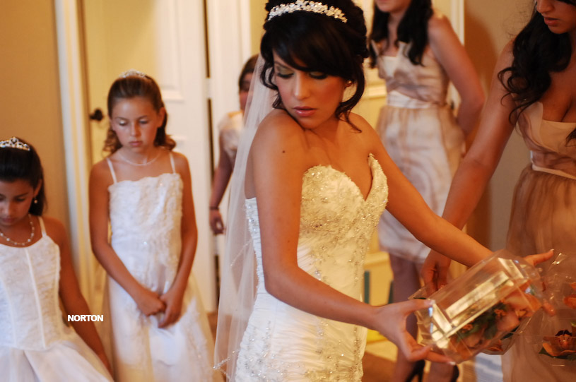 Pat an Dayna's Wedding, photograph 64