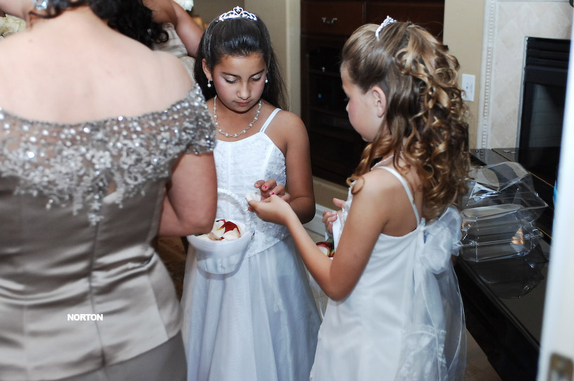 Pat an Dayna's Wedding, photograph 94