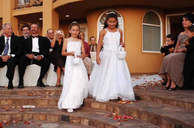 Pat an Dayna's Wedding, photograph 101
