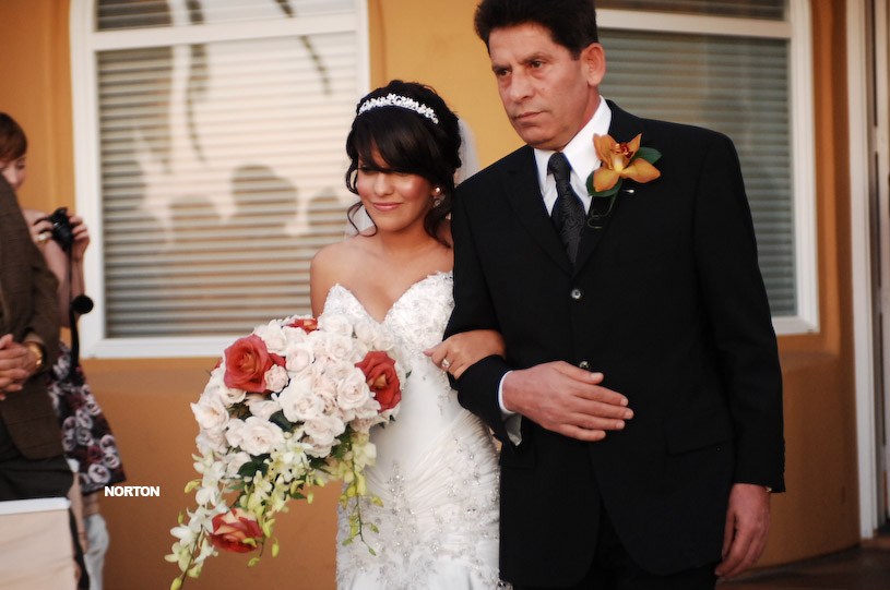 Pat an Dayna's Wedding, photograph 109