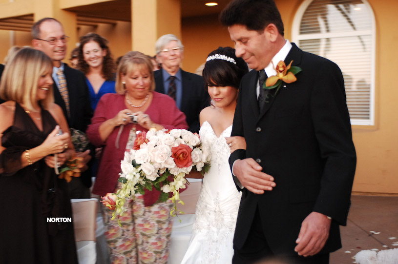 Pat an Dayna's Wedding, photograph 110