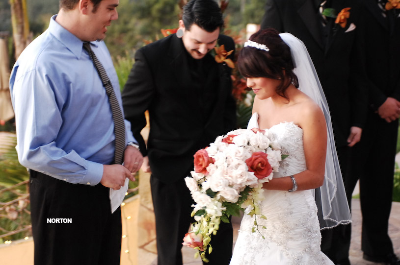 Pat an Dayna's Wedding, photograph 111