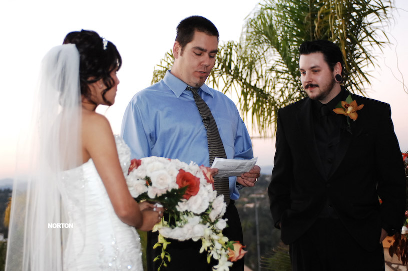 Pat an Dayna's Wedding, photograph 112