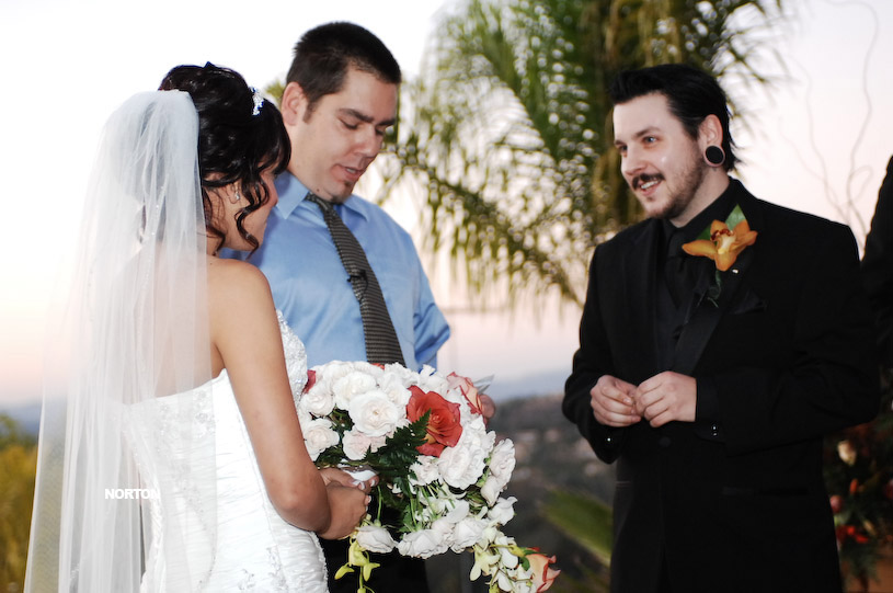 Pat an Dayna's Wedding, photograph 114