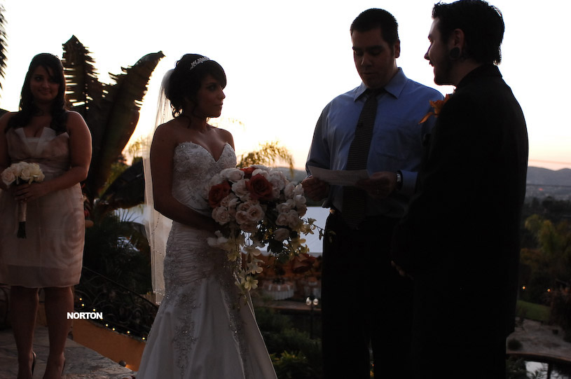 Pat an Dayna's Wedding, photograph 117