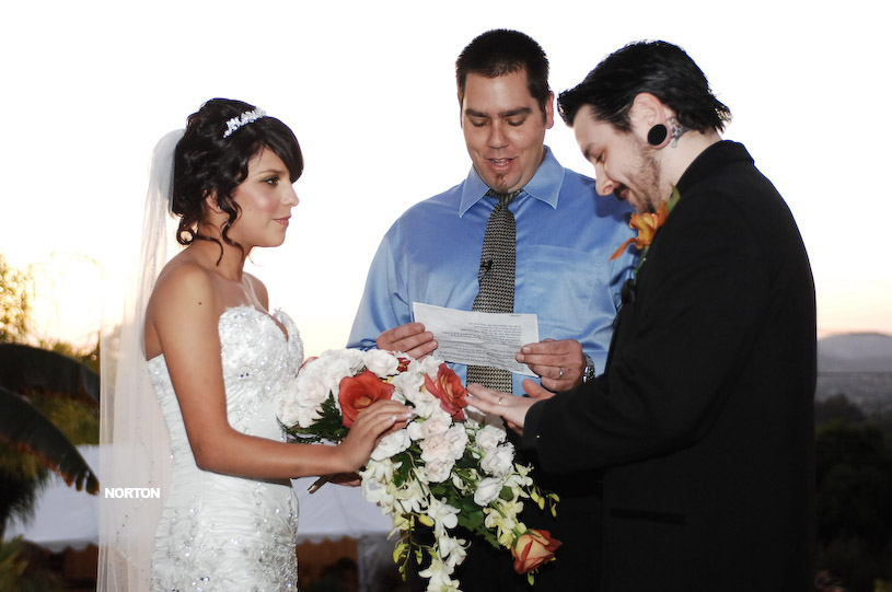 Pat an Dayna's Wedding, photograph 118