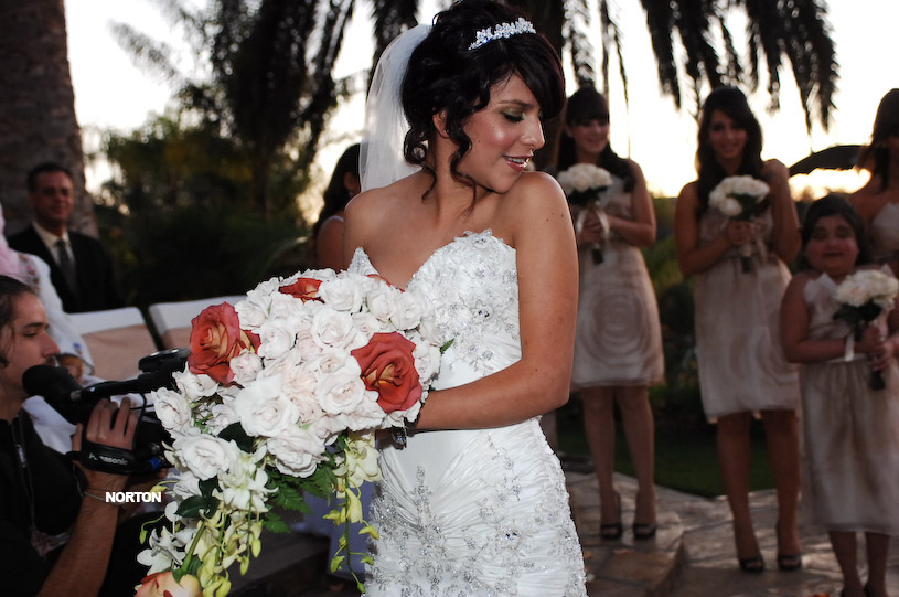 Pat an Dayna's Wedding, photograph 125