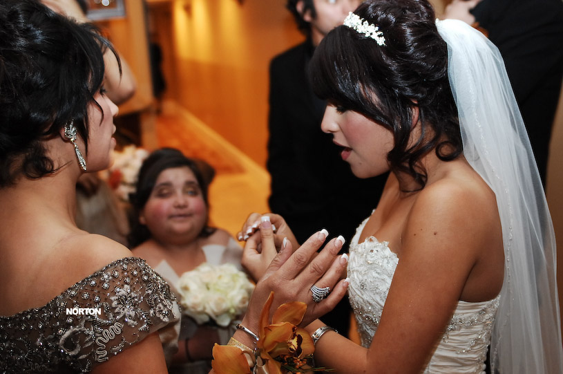 Pat an Dayna's Wedding, photograph 136