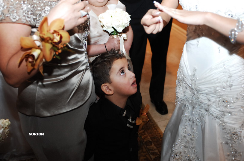 Pat an Dayna's Wedding, photograph 139