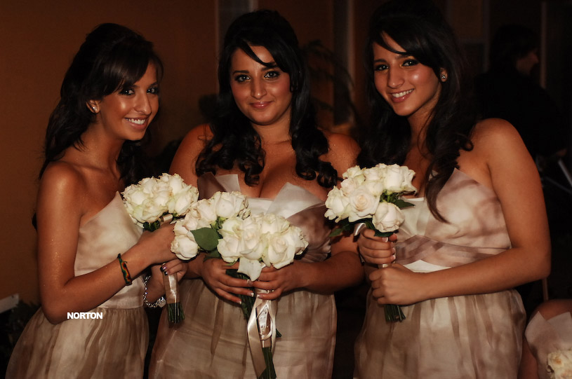 Pat an Dayna's Wedding, photograph 140