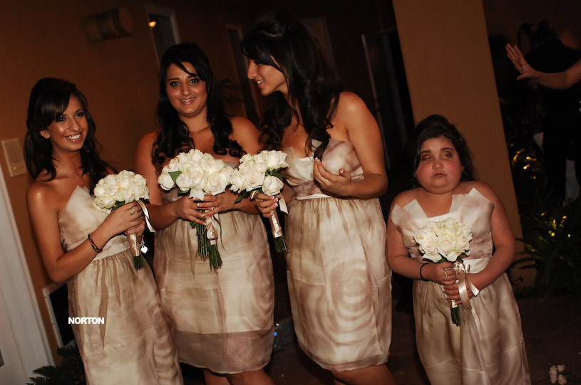 Pat an Dayna's Wedding, photograph 141