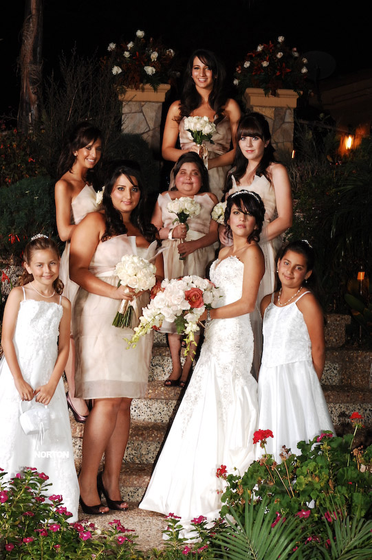 Pat an Dayna's Wedding, photograph 170