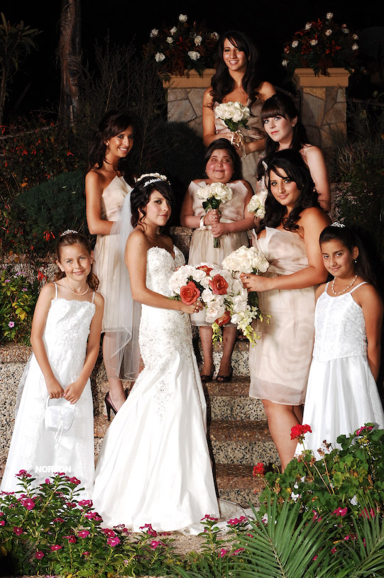 Pat an Dayna's Wedding, photograph 171