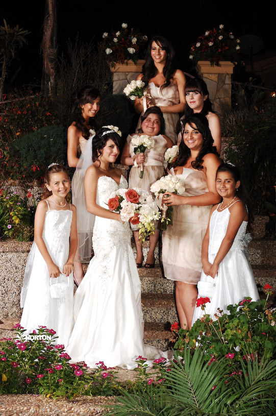 Pat an Dayna's Wedding, photograph 173
