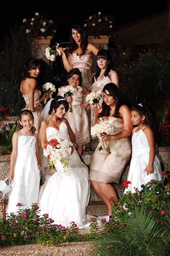 Pat an Dayna's Wedding, photograph 174