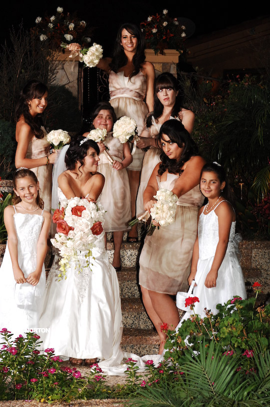 Pat an Dayna's Wedding, photograph 175