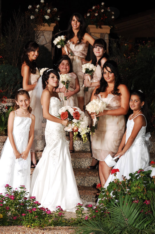 Pat an Dayna's Wedding, photograph 176