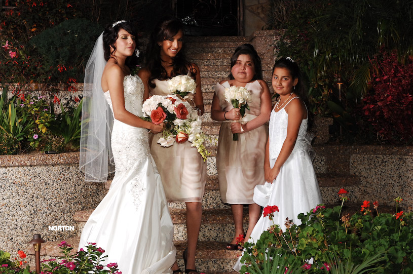 Pat an Dayna's Wedding, photograph 178