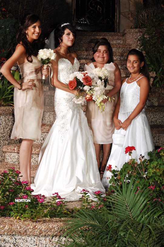 Pat an Dayna's Wedding, photograph 179