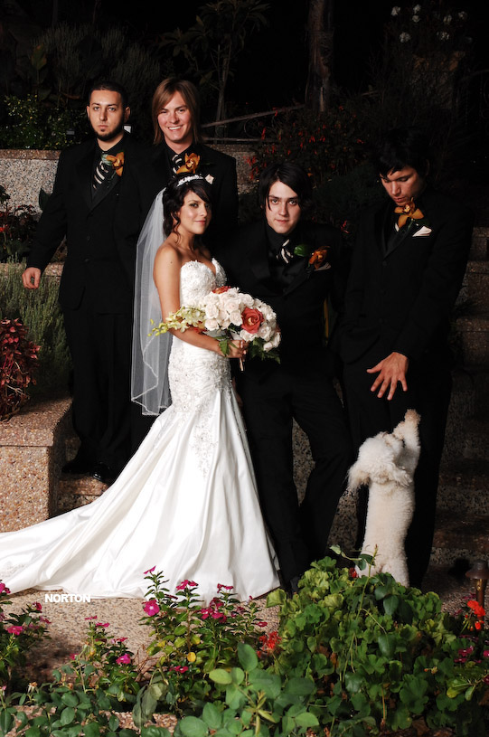 Pat an Dayna's Wedding, photograph 208
