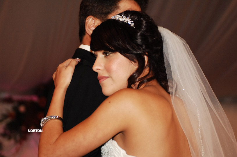 Pat an Dayna's Wedding, photograph 351