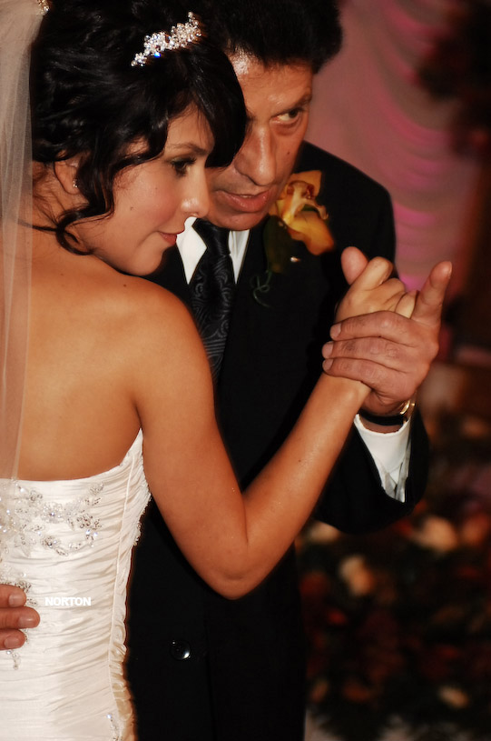 Pat an Dayna's Wedding, photograph 353
