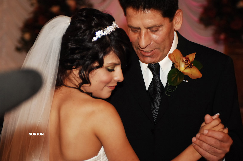 Pat an Dayna's Wedding, photograph 356