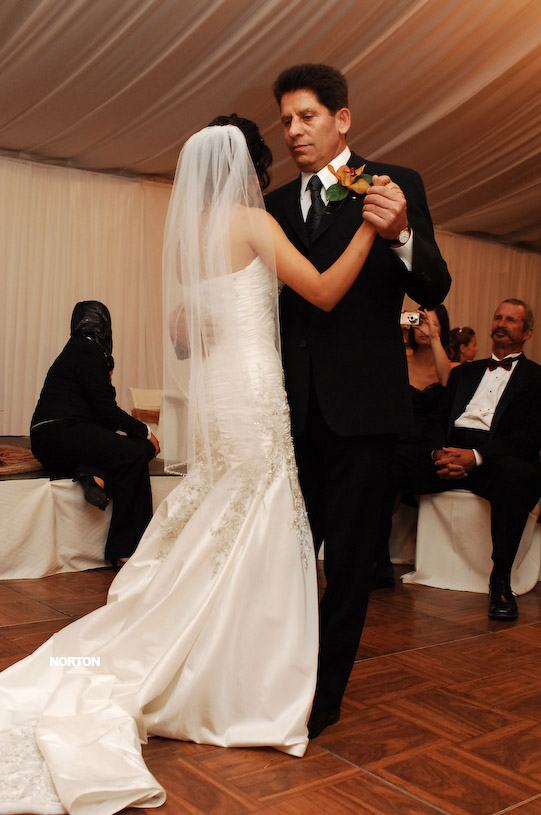 Pat an Dayna's Wedding, photograph 361