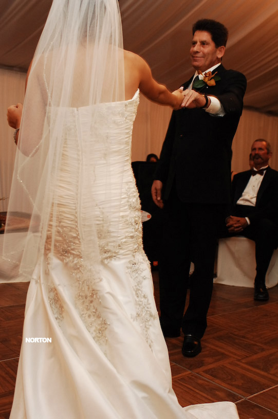 Pat an Dayna's Wedding, photograph 364