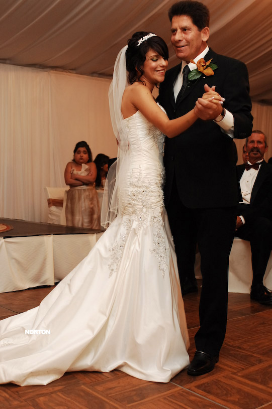 Pat an Dayna's Wedding, photograph 365