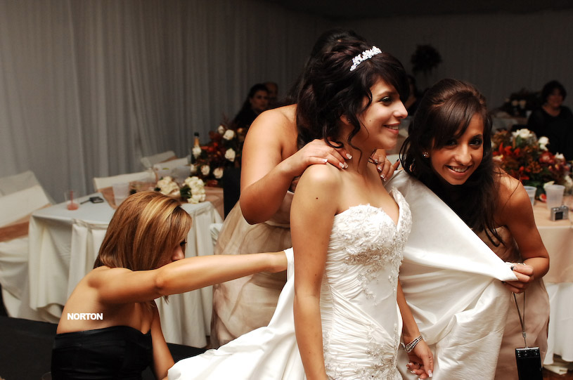 Pat an Dayna's Wedding, photograph 422