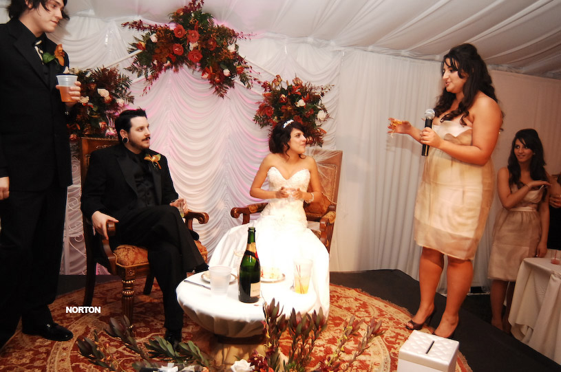 Pat an Dayna's Wedding, photograph 466