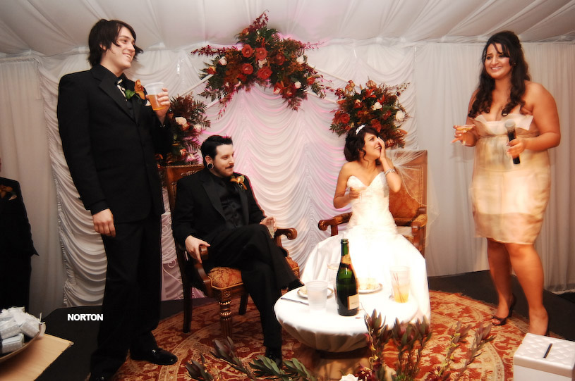 Pat an Dayna's Wedding, photograph 468