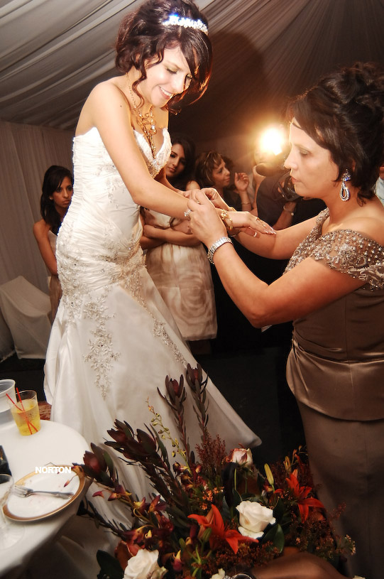 Pat an Dayna's Wedding, photograph 539