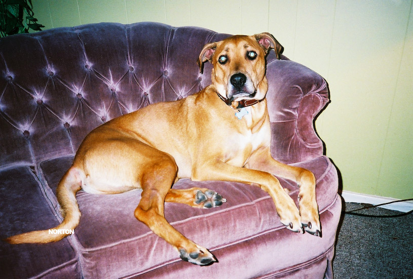 Film Snapshots - 2008, photograph 81
