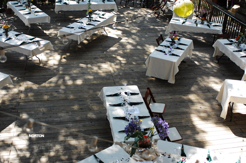 Adam and Tori's Wedding, photograph 66