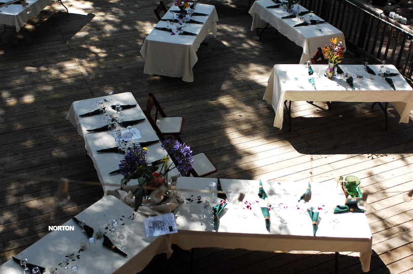 Adam and Tori's Wedding, photograph 67