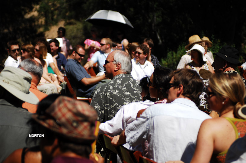 Adam and Tori's Wedding, photograph 97