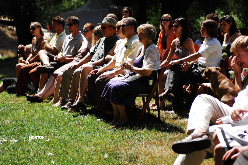 Adam and Tori's Wedding, photograph 138
