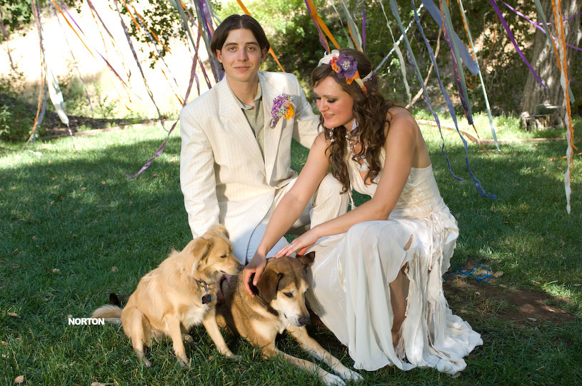 Adam and Tori's Wedding, photograph 240