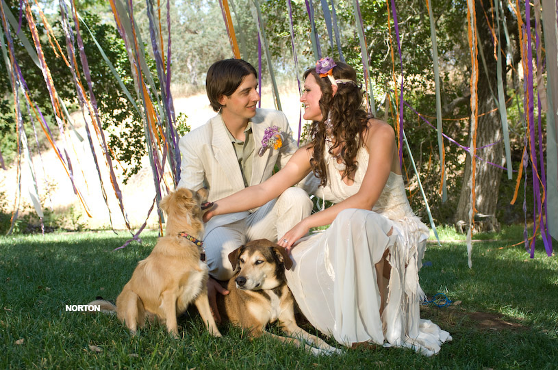 Adam and Tori's Wedding, photograph 242