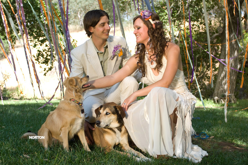 Adam and Tori's Wedding, photograph 243