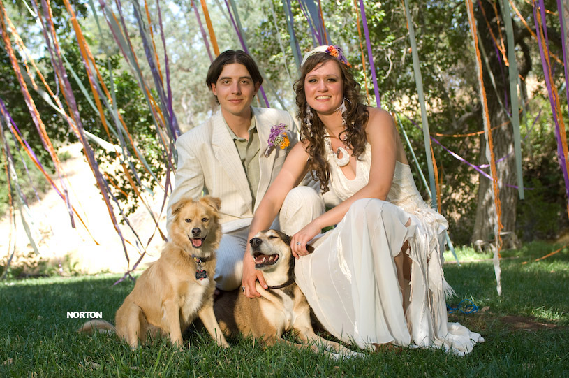 Adam and Tori's Wedding, photograph 244