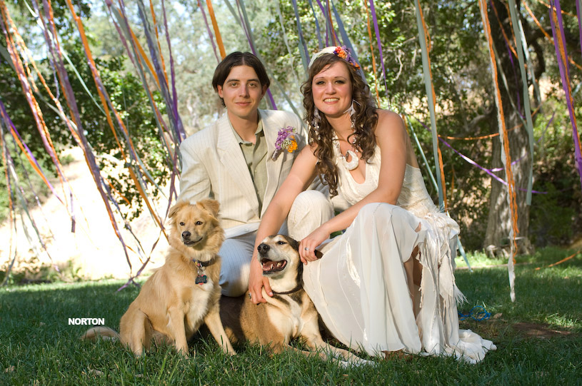Adam and Tori's Wedding, photograph 245