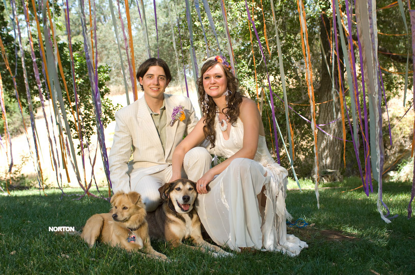 Adam and Tori's Wedding, photograph 246