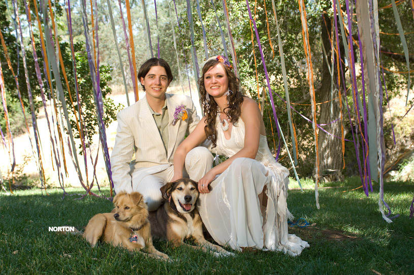 Adam and Tori's Wedding, photograph 247